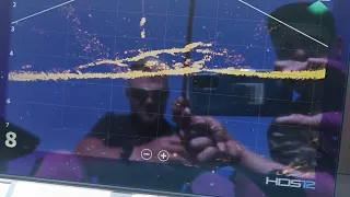 Lowrance HDS Pro active target 2 (catfish on a tree)