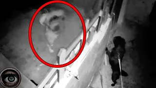 Dog ghost is captured by security cameras - REAL