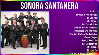 Sonora Santanera 2024 MIX Las Mejores Canciones - La Boa, Bonita Y Mentirosa, El Ladrón, Mil Horas