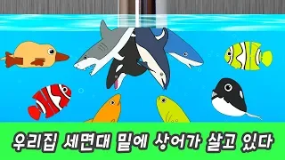 한국어ㅣ우리집 세면대 밑에 고래가 살고 있다! 어린이 동물만화, 고래 이야기ㅣ꼬꼬스토이