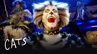 The Battle of Pekes and the Pollicles Part 1 | Cats the Musical
