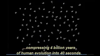 4 billion years in 40 seconds-human evolution.