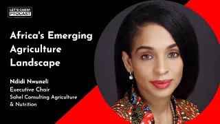 Africa's Emerging Agriculture Landscape - Ndidi Nwuneli