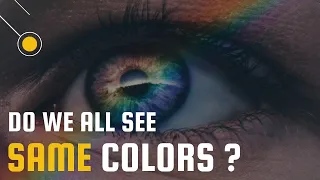 Do we all see the same colors? Do you see what i see