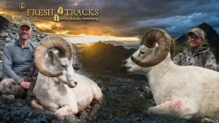 2 Alaskan Dall Sheep! | Full Episode (Season 7)