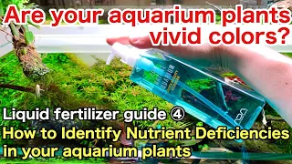 How to use liquid fertilizer for a planted aquarium Part4〜How to Identify a Fertilizer Deficiency