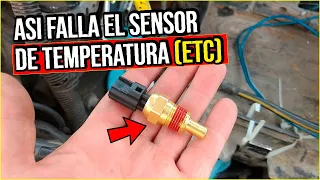 5 Fallas del Sensor de Temperatura ETC (Esto es lo que le Causa a tu MOTOR)