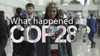 What happened at COP28?