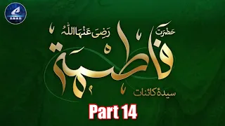 Part 14 - Seerath Hz Hussain ibne Ali Ra | Hz Zainab bint Ali  | Karbala ka Darnaak Waqiya & Shohada