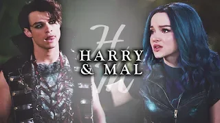 harry + mal | always hate me [+descendants 3]