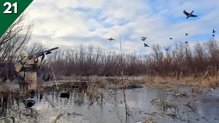 MIXED BAG Limits In A Tiny TIMBER HOLE | Duck Hunting 2024