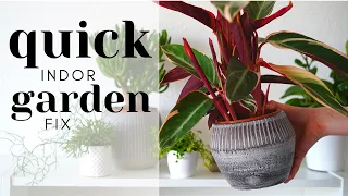 How to Start Indoor Gardening After a Vacation | #howto