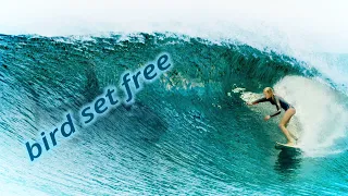 Sia : Bird set free (music video) The shallows