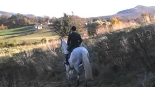 Enniskerry Hunt