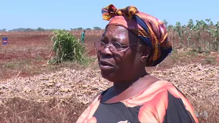 Irrigation Still Rare in Zimbabwe as UN Predicts Drought