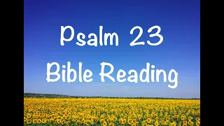 Psalm 23 - NIV Version (Bible Reading with Scripture/Words)