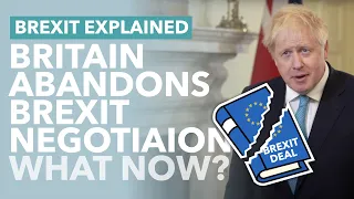 Johnson Tells Britain to Prepare for No Deal: What The Hell's Happening with Brexit? - TLDR News