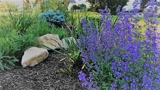 Early June Garden Tour 2020 | Flower Garden