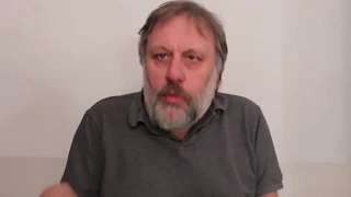 Slavoj Žižek message in support of DiEM25