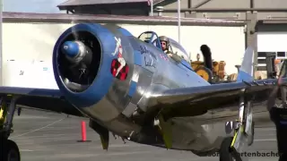 Ground Attack Day - P-47 Thunderbolt and A-1 Skyraider