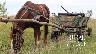 A Tour of our Traditional Bulgarian  Village (Life in in a Rural Bulgarian Village in Springtime)
