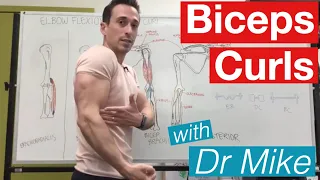 Biceps Curl | Contraction and Extension