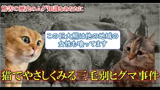 猫と"やさしく"みる三毛別羆事件【猫ミーム 猫マニ】