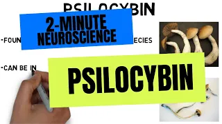 2-Minute Neuroscience: Psilocybin