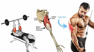 Best Triceps Exercises to Build Big and Defined Triceps | Best Triceps Workout | Anatomy of Triceps