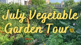 July Vegetable Garden Tour | Harvest season