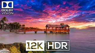 12K HDR 120fps Dolby Vision | Brilliant Vibrance