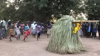 Senegal - Casamance - Dance