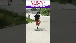 【How to オーリー】フワッとしたオーリーの練習方法 長尺動画は関連動画へ🛹　#スケートボード