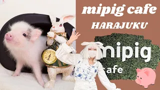 MiPig Cafe in Harajuku