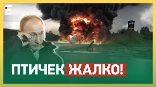 🔥«ТУШКИ» ПАЛАЮТЬ у росії! «КИНДЖАЛИ» більше не літатимуть? | КИРИЧЕВСЬКИЙ