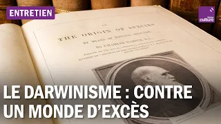 Le darwinisme, matrice idéologique du capitalisme et de ses excès ?