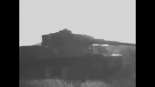 Tiger 1 Edit.