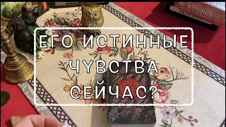 ЕГО истинные ЧУВСТВА⁉️ СТОИТ ли доверять Гадание на Таро он-лайн Fortune-telling@TianaTarot