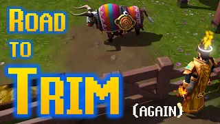 Road to Trim - Episode 2 - DXP Gainz!