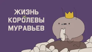 Жизнь королевы огненных муравьев | Школус