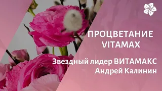 ПроЦВЕТАние ВИТАМАКС: выступление Андрея Калинина