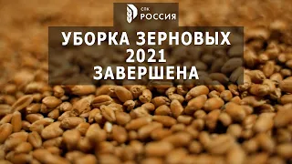 Уборка зерновых 2021 в колхозе "Россия" завершена