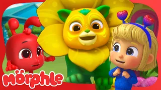 Flower Lions Are Bloomin' Scary! 🦁 | Stories for Kids | Morphle Kids Cartoons