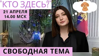 Про “Предателей”, срачи и знакомство с Наки! СТРИМ Нино Росебашвили "Кто здесь?"