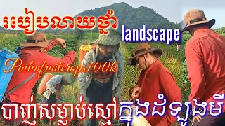 របៀបលាយថ្នាំបាញ់ស្មៅនៅក្នុងចម្ការដំឡូងមី How to mix herbicides in cassava fields