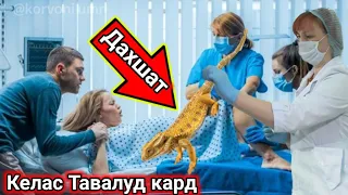 Дахшат! Имруз Як зан Келас Тавалуд кард 😱Духтурон хама дар хайратанд