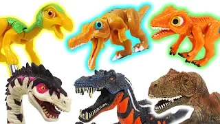 Dino Mecard tiny dinosaur battle Suchomimus, Deltadromeus,Therizinosaurus! Go! - DuDuPopTOY