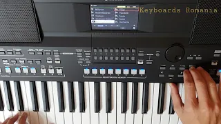 Yamaha PSR-SX600 - Country & Ballroom Styles Category