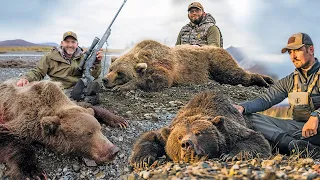 Bears of the North | 3 Big Grizzly Bears!