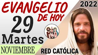 Evangelio de Hoy Martes 29 de Noviembre de 2022 | REFLEXIÓN | Red Catolica